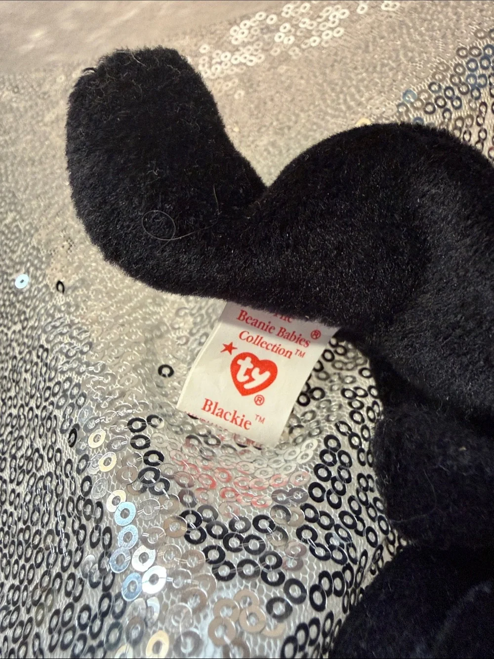 NWT Blackie the Bear Ty Beanie Baby with Brown Muzzle